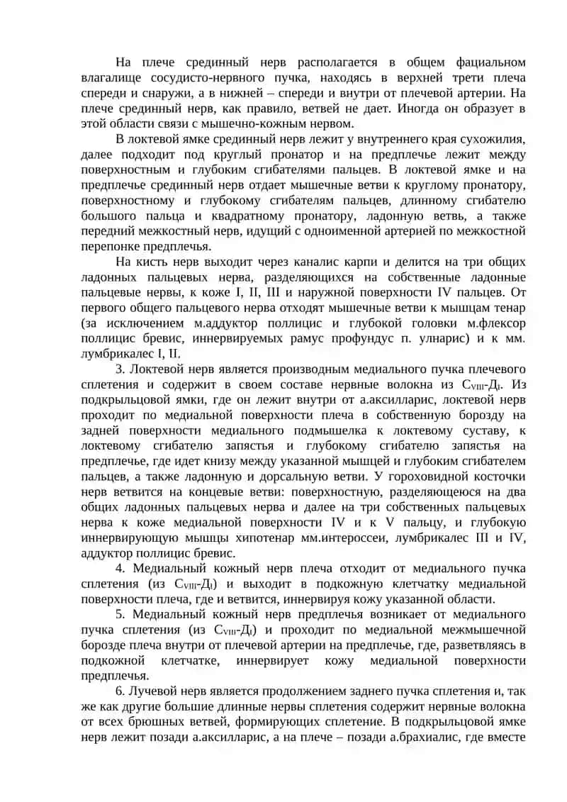 ПЕРИФЕРИЧЕСКАЯ НЕРВНАЯ СИСТЕМА. СПИННО МОЗГОВЫЕ НЕРВЫ 4