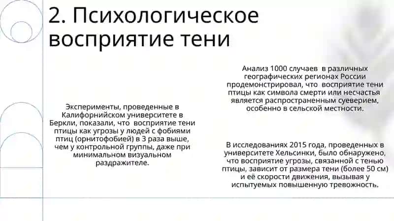 Тень птицы 4