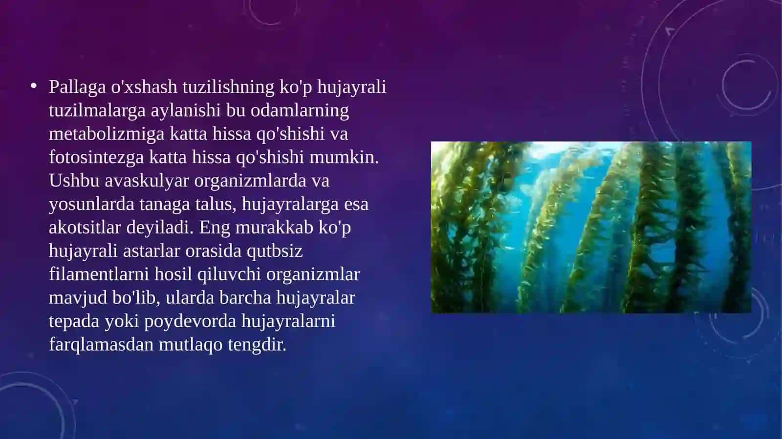 o’simliklar evolyusiyasining asosiy bosqichlari 4