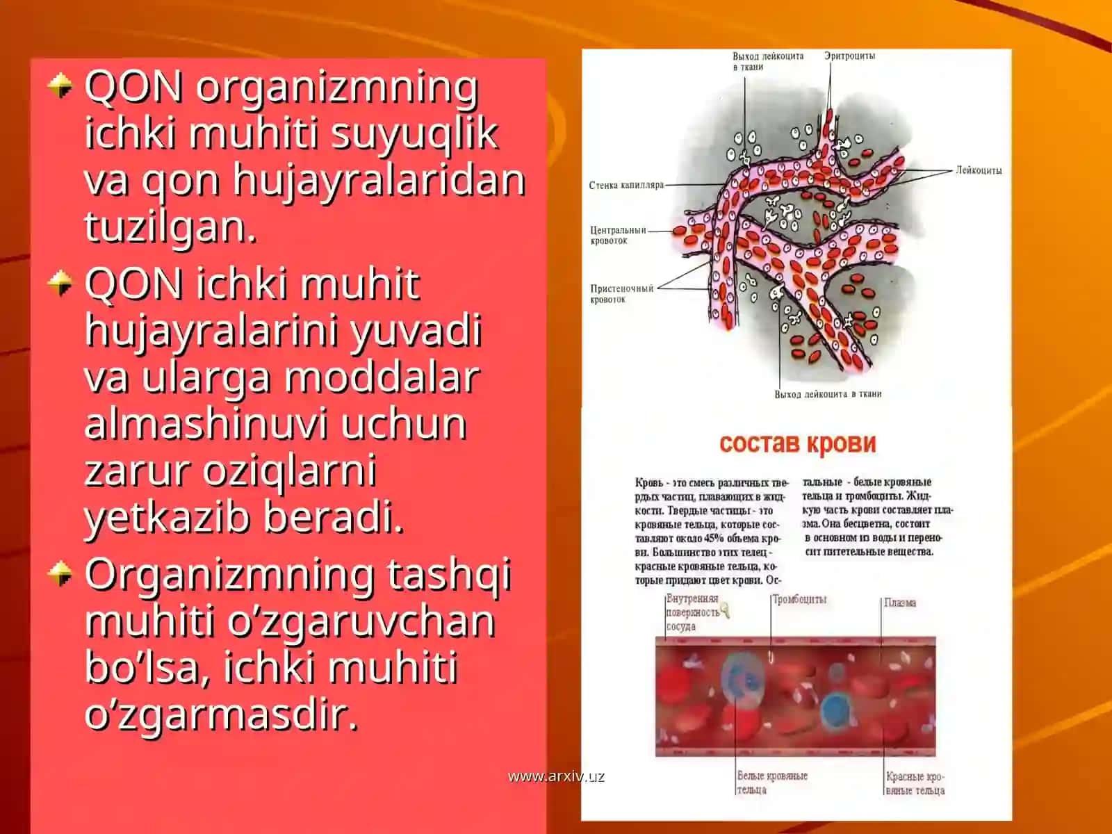 Qonning fizik va kimyoviy xossalari 4