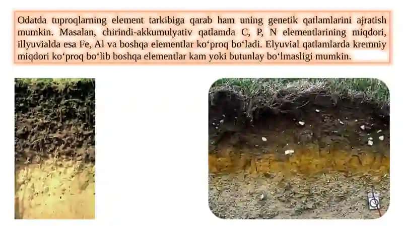 Tuproqdagi muhim elementlar tavsifi, migratsiyasi, mikro, makro, biogen va pedomorf elementlar 4