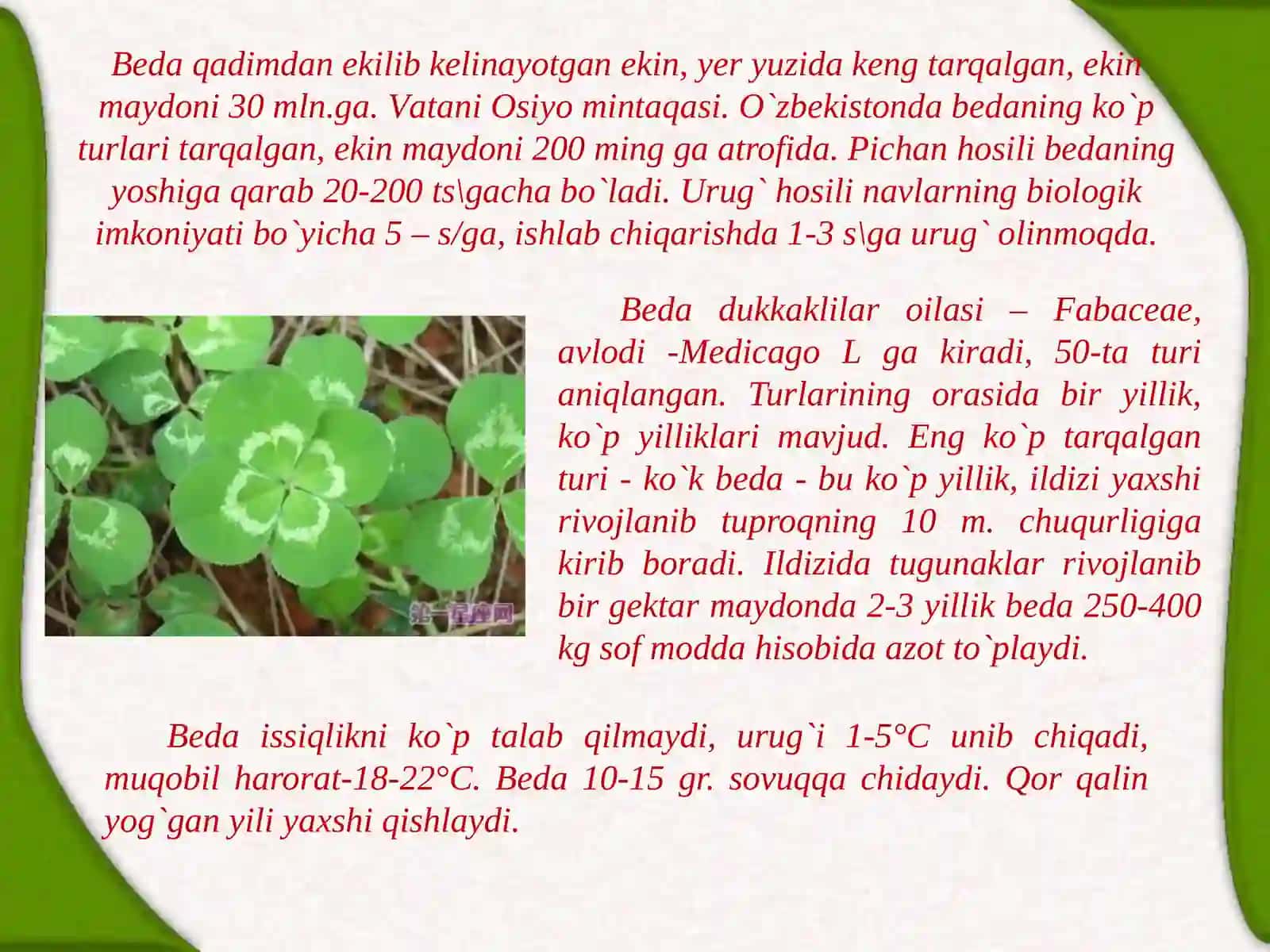 Yem-xаshаko’tlаr.Pichаntаyyоrlаshtexnologiyаsi 4