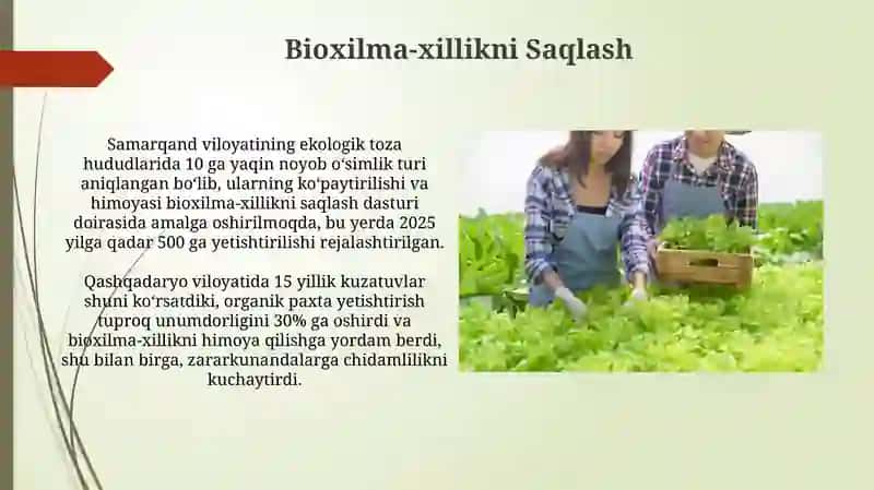 Ekologik toza qishloq xo‘jaligi mahsulotlarini yetishtirish 4
