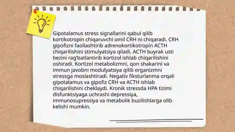 Stressning inson organizmiga ta'siri 4