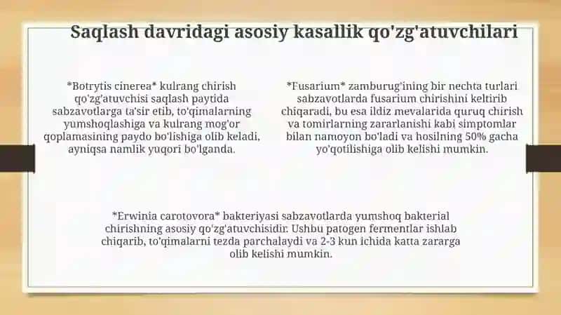 Sabzavotarni onborxonalarda saqlash davridagi kasalliklari hamda ularga qarshi kurahish choralari 4