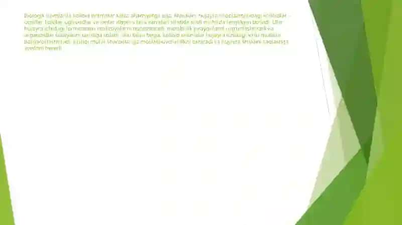 Kolloid etitmalar va dag'al dispers sistemalar 4