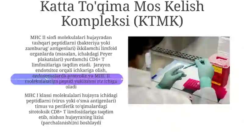 Molekulyar imunologiya 4