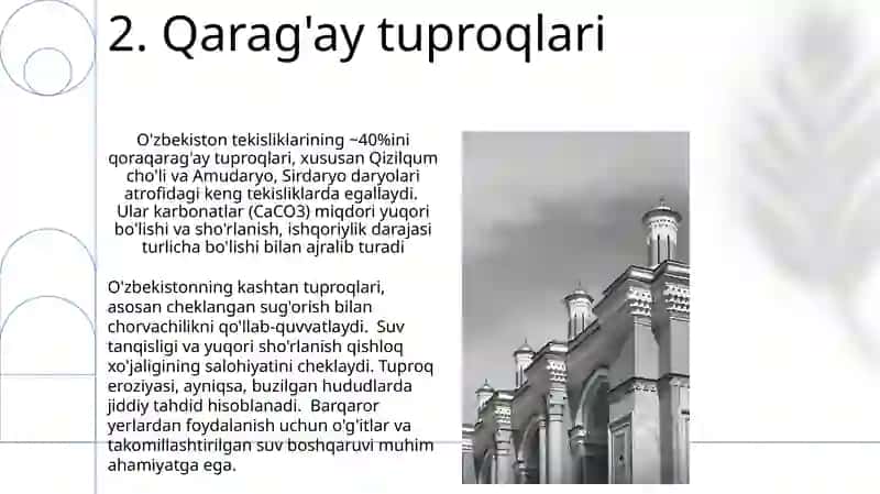 Oʻzbekistonda uchraydigan tuproq xilari 4