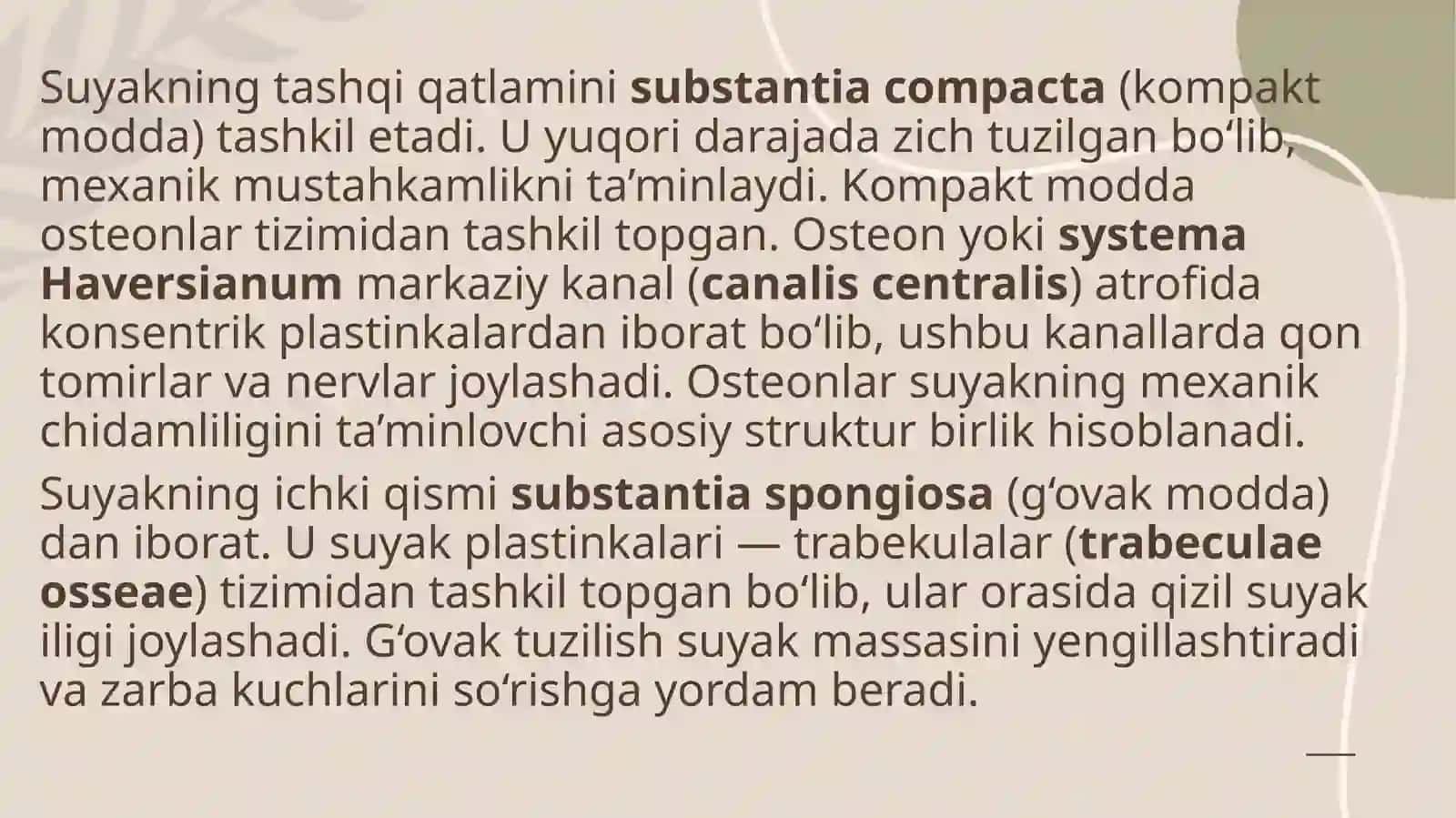 Suyak to‘qimasining tuzilishi va funksiyasi 4