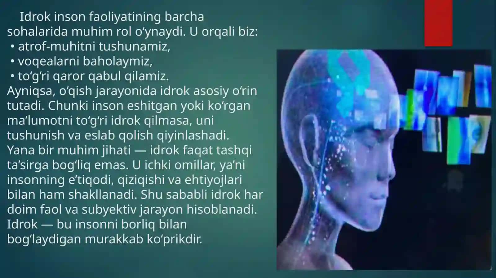 IDROKNING TURLARI 4