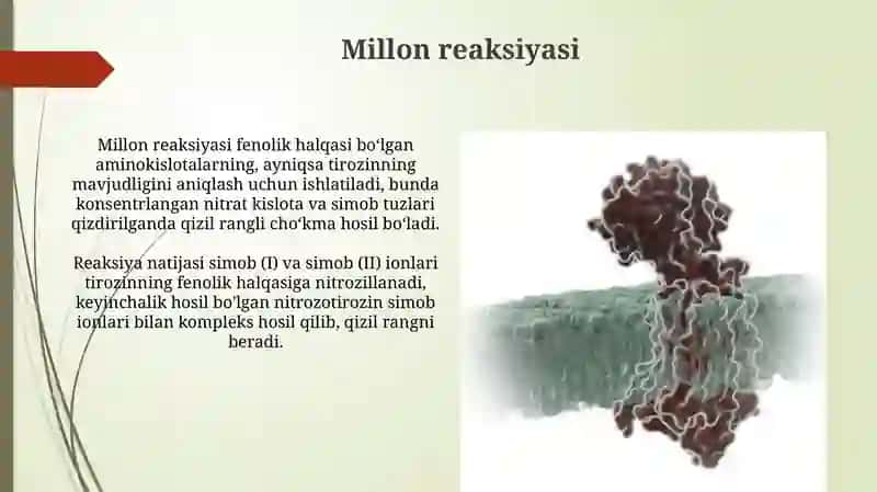 Proteinlarga xos sifat reaksiyalari 4