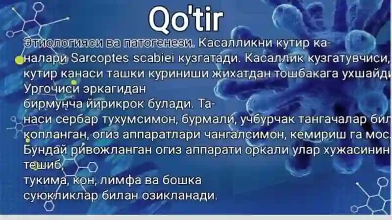 Zoonozlar, leyshmanioz, qo'tir va bitlash 4