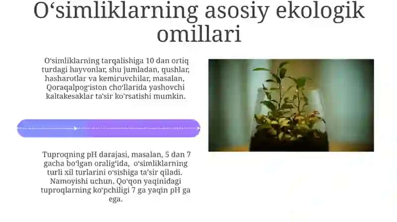 O'simliklar ekologiyasi asoslari 4