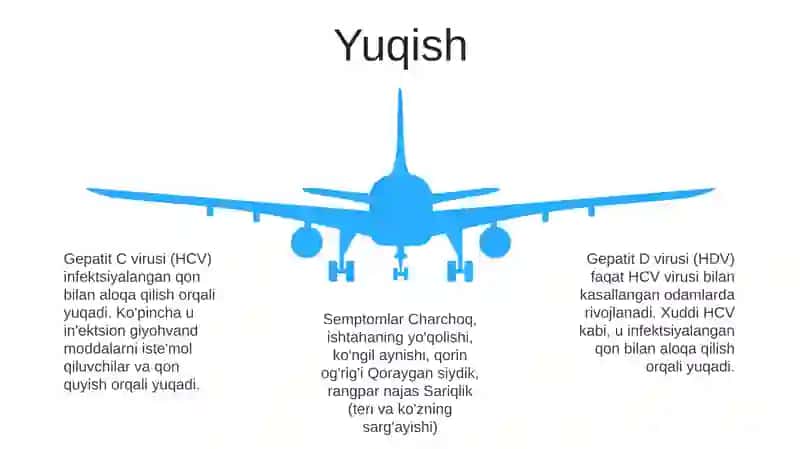 Virusli Gepatid C Va D 4