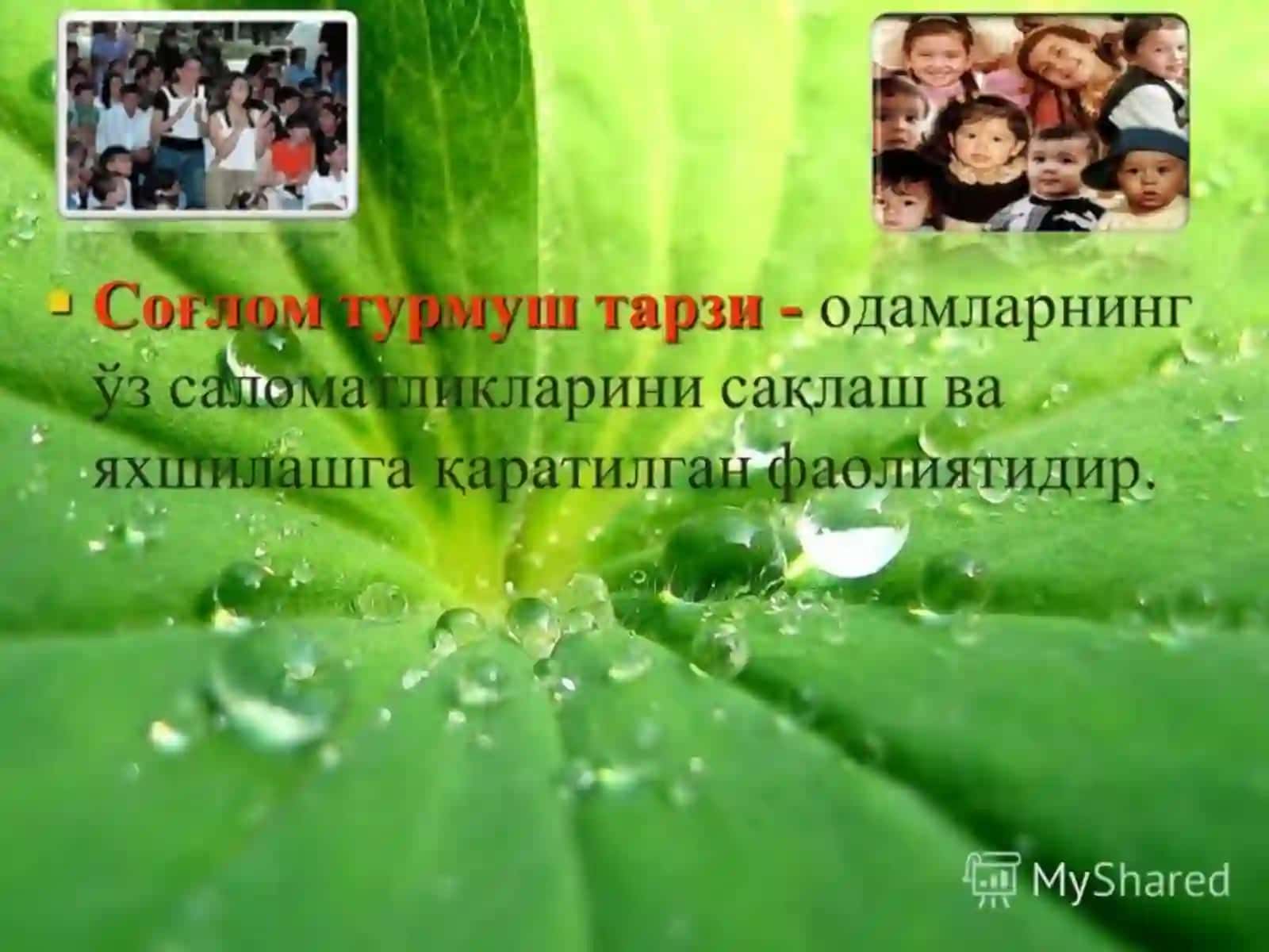 Халқаро кашандаликка қарши курашиш куни 4