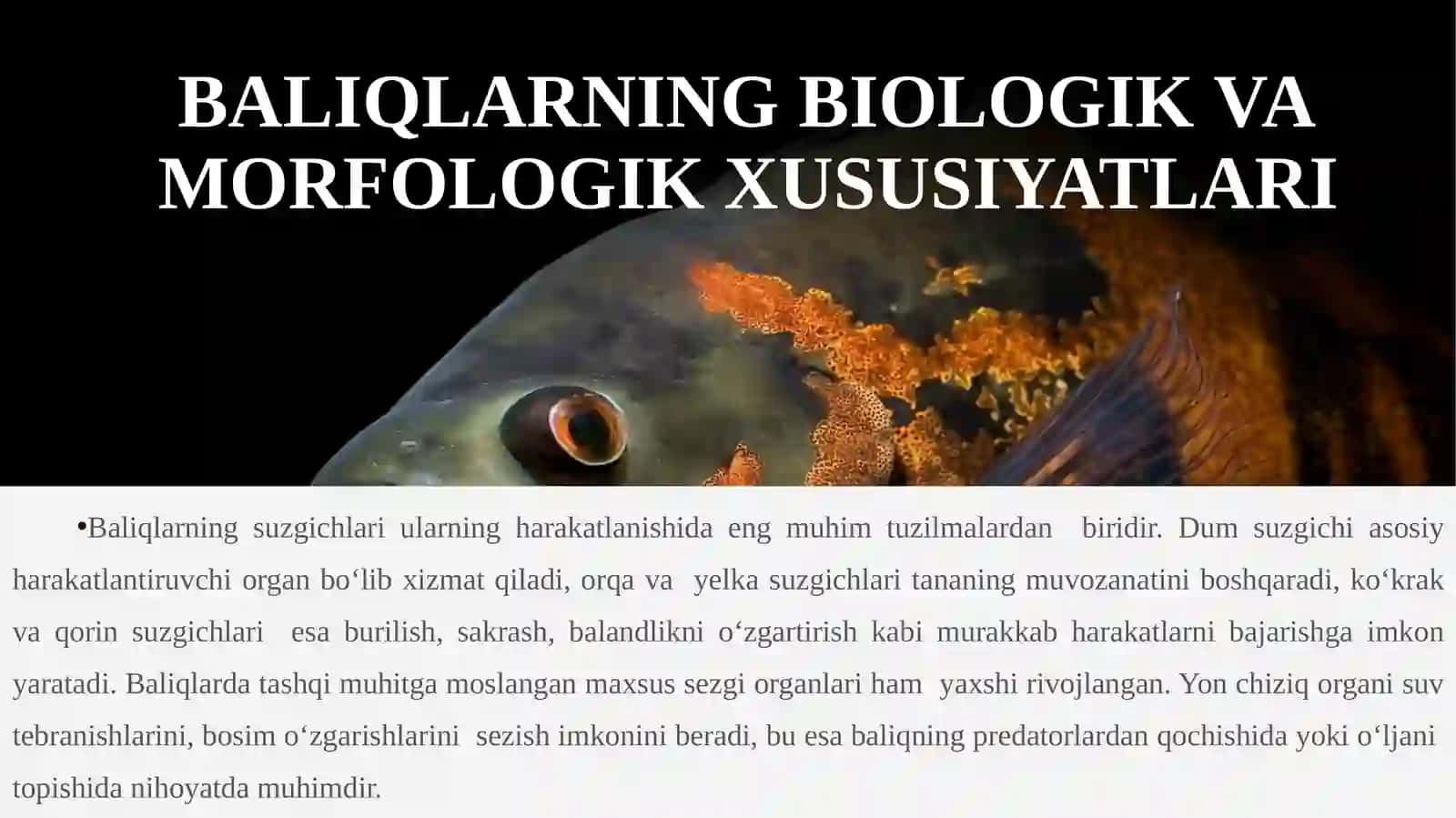 BALIQLAR KATTASIN FI EKOLOGIYASI VA EVOLYUTSIYASI 4