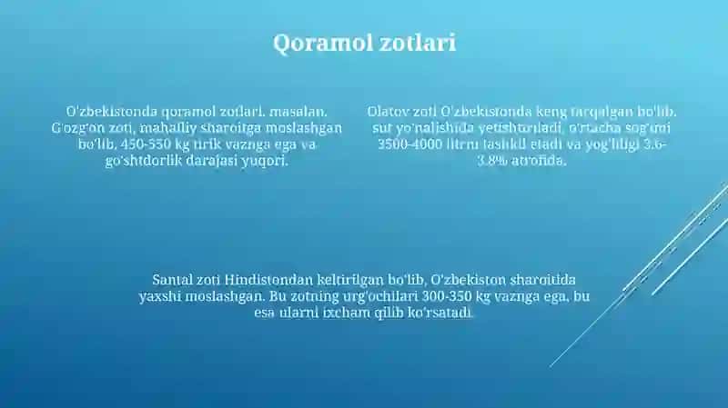 O'zbekistondagi tumanlashtirilgan hayvonlar zotlari 4