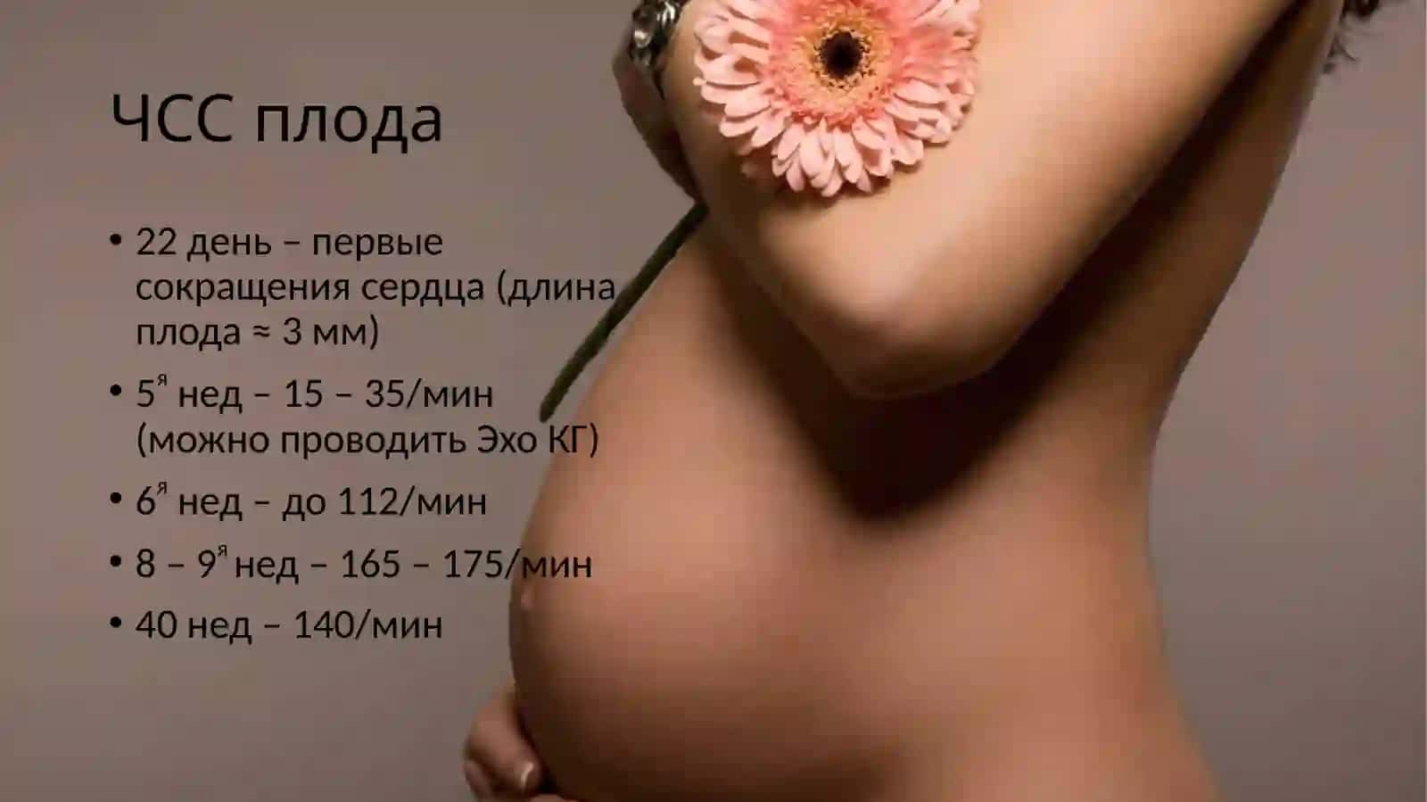 Анатомо – физиологические особенностисердечно – сосудистой системы детей 4
