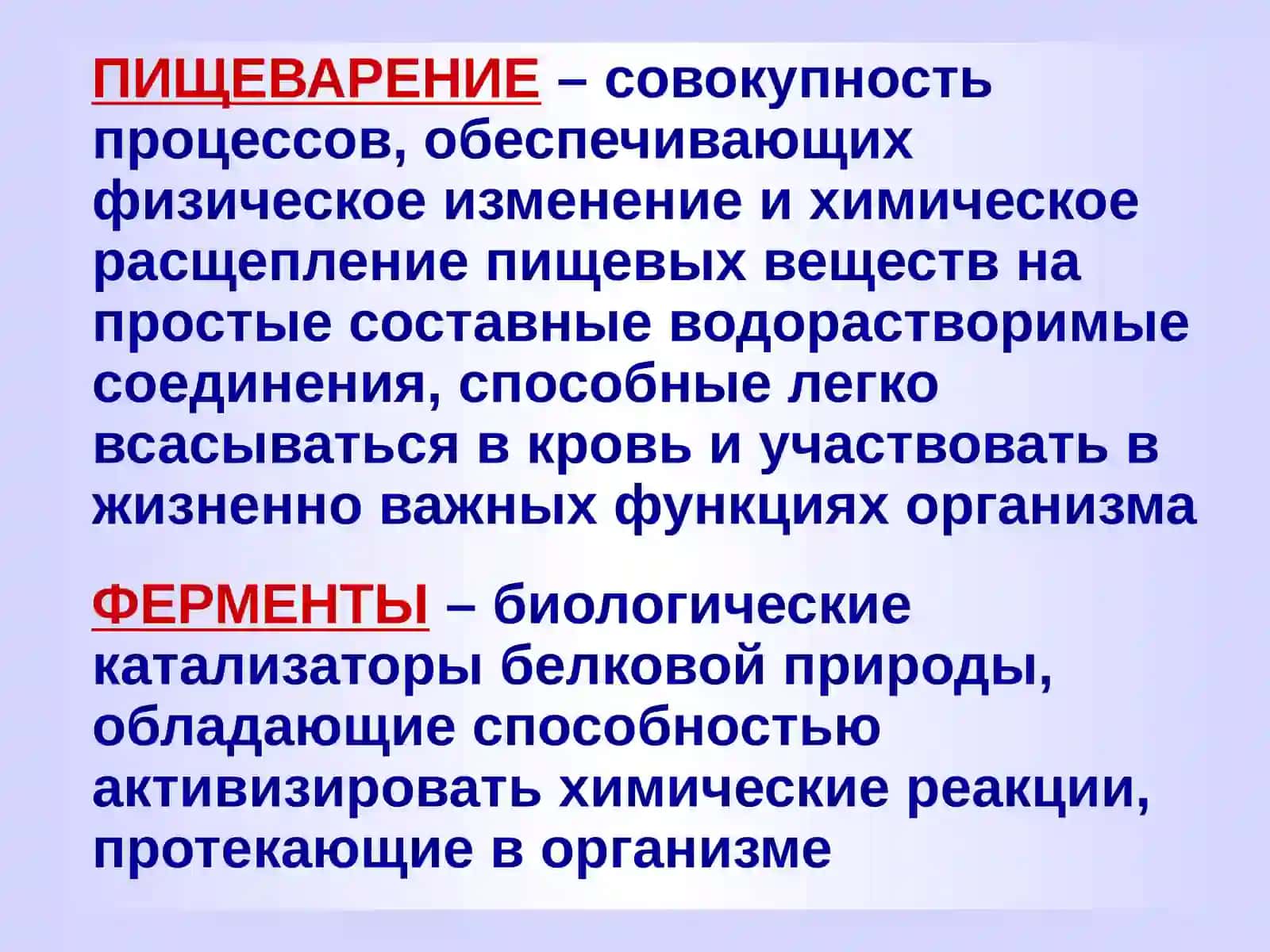 Основы физиологии пищеварения и обмена веществом 4