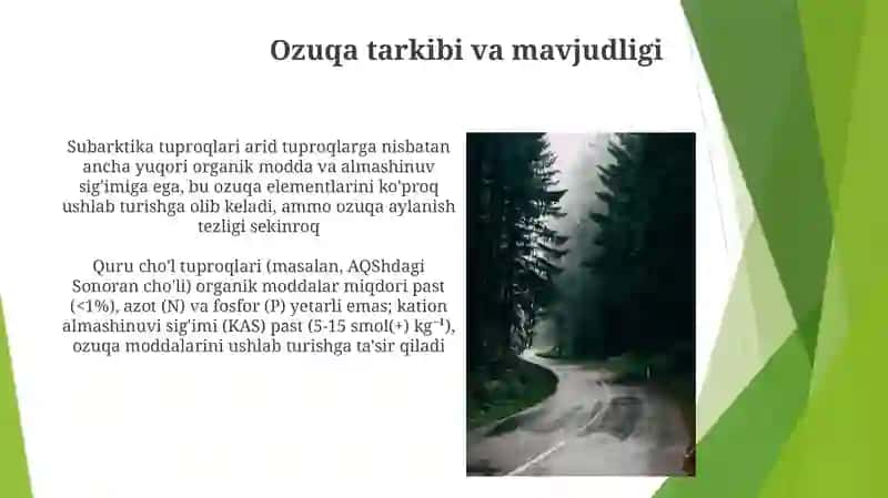 Quruqdashtzonasining tuproqlarida mos aniqiyliklar 4
