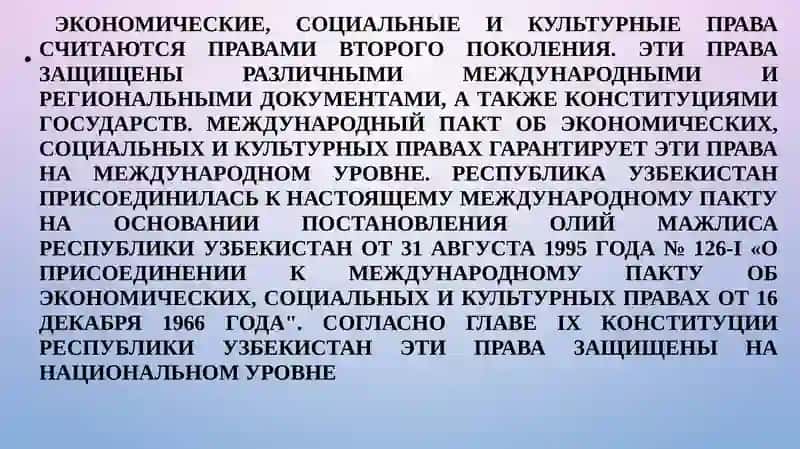 Экономические, социальные, культурные и экологические права 4