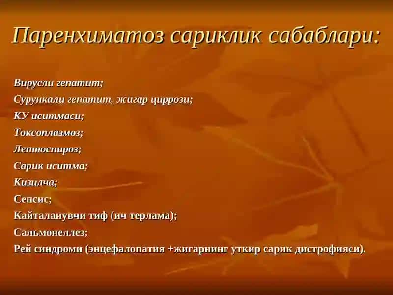 Механиксариклик 4
