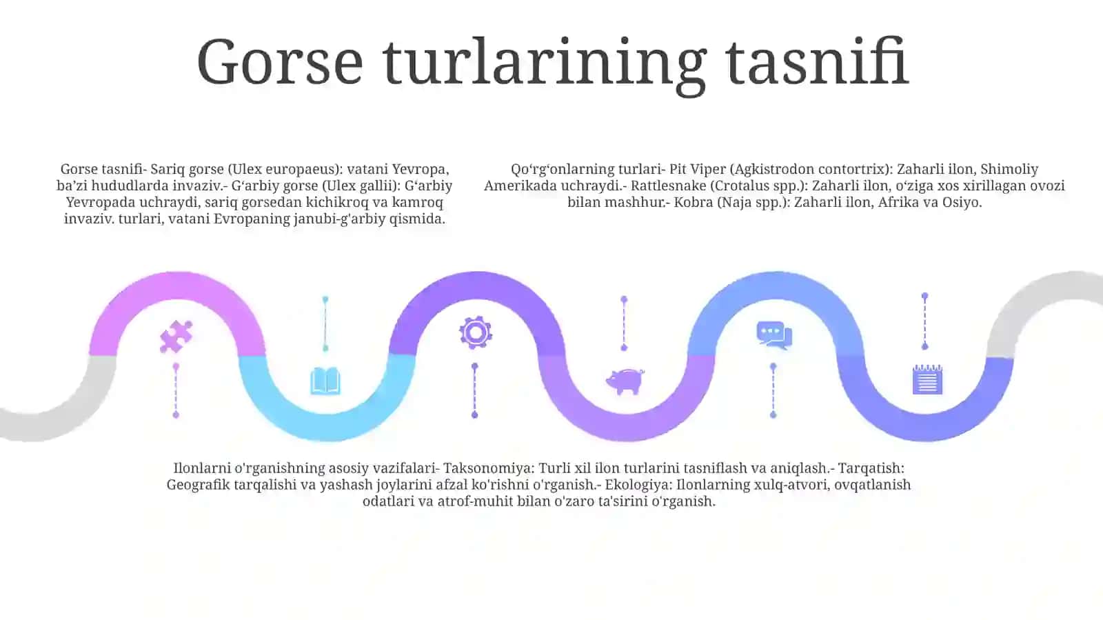 Qorgonlarning Turlari Va Ularni O`Rganishni Asosiy Vazifalari 4