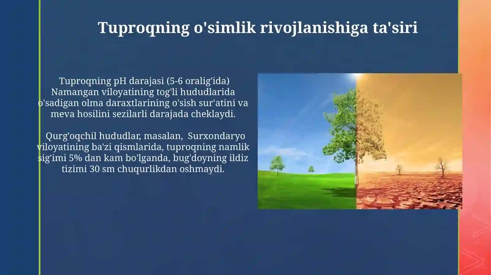 Loyxa ishi: Turli muhit sharoitida usgan õsimliklarning tuzulishini taqoslash 4