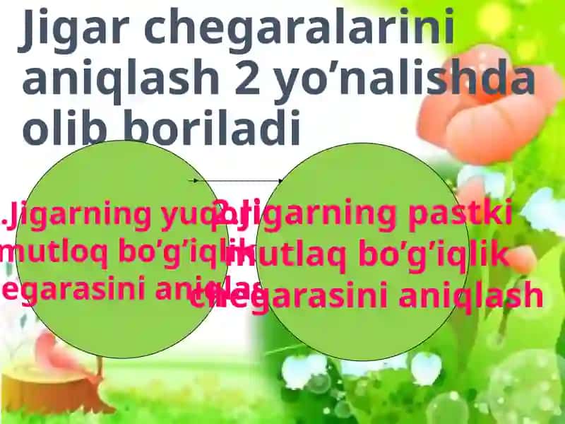 Jigar perkussiyasidagi norma va patalogiya 4