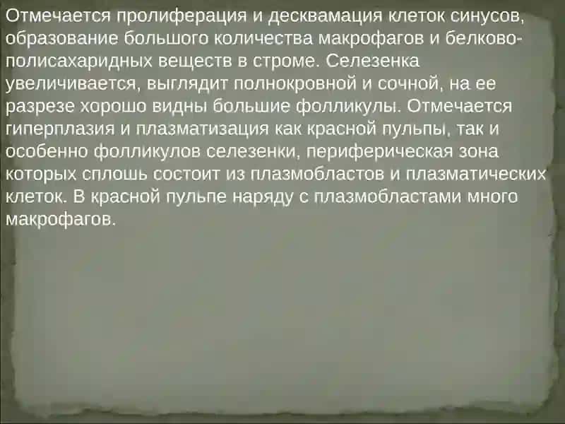 Патология вилочковой железы 4
