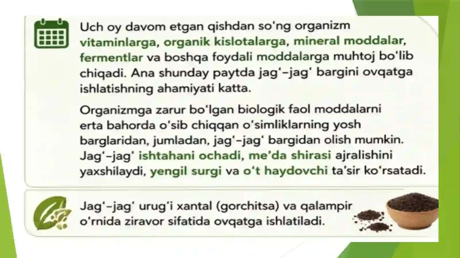 Karamdoshlar va Torondoshlar oilasi dorivorlik xususiyatlari 4