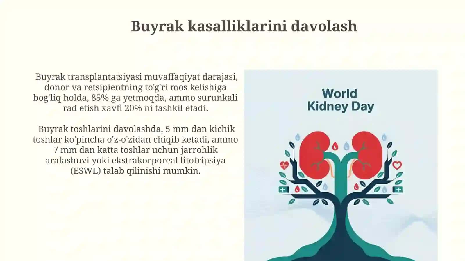 Buyraklar faoliyatining o'ziga xosligi va "Buyraklar bosimi" 4