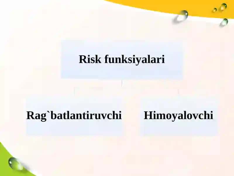 Riskvadaromadningo’zarobog’liqligi 4
