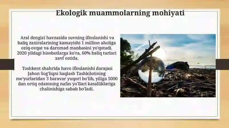 Ekologik omillarning mohiyati oqibatlari va hal etish yo'llari 4