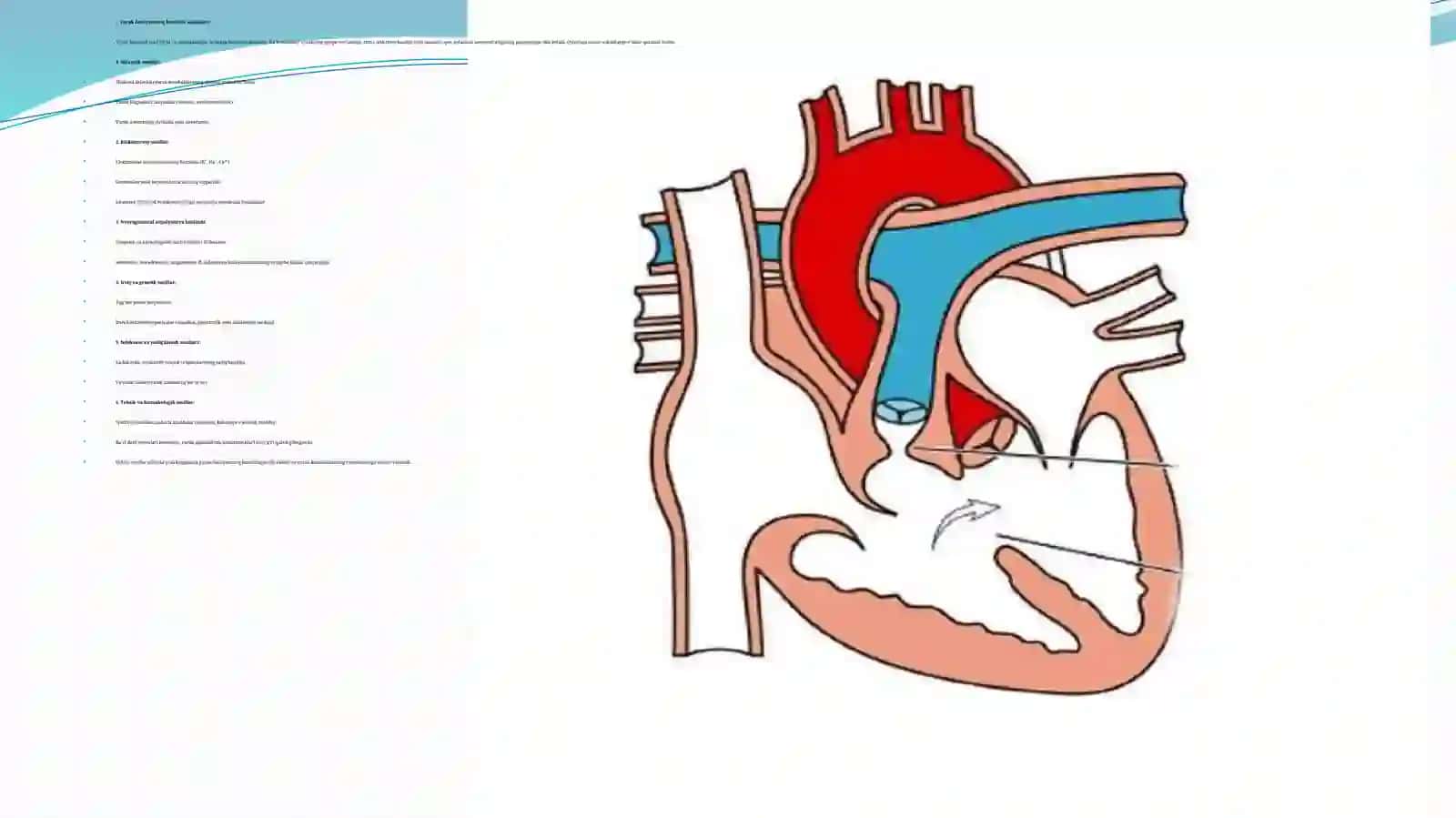 Yurak patfiziologiyasi 4