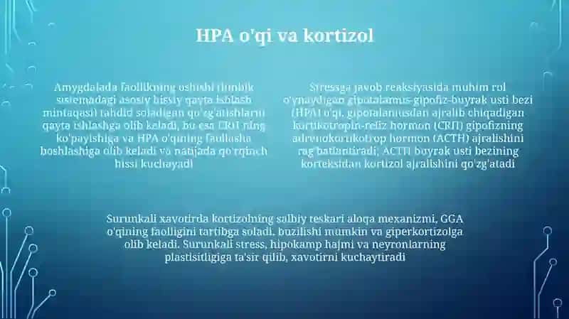 Xotira haqida tushuncha va uning nerv fiziologik asoslari 4