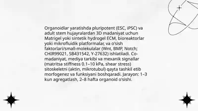 Hujayra organoidlari va hujayraning yarim avtonom organoidlari. Sitoskelet 4