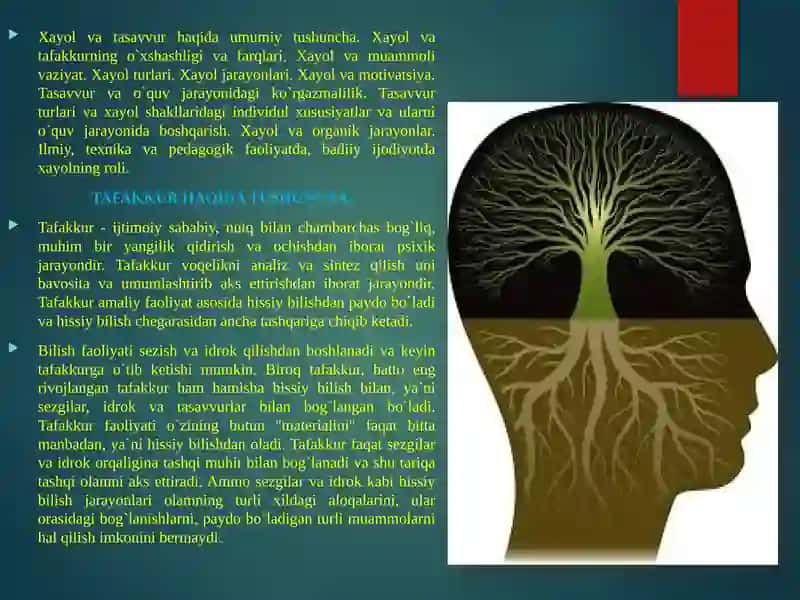 Tafakkurinversiyasiningamalqilishmexanizmlari 4