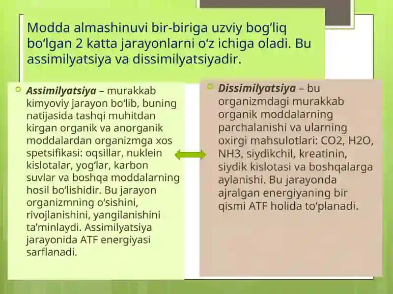 Moddalar almashinuviga kirish. Metabolizm to‘g‘risida tushuncha. Ovqatlanish biokimyosi. 4