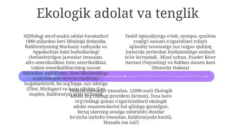 Qayta tiklanuvchi energiya loyihalarini rivojlantirishga ruxsat berishdagi kechikishlar, NEPA bo'yicha murakkab ekologik ekspertizalar va viloyatlararo uzatish liniyalarini joylashtirishdagi qiyinchiliklar 4