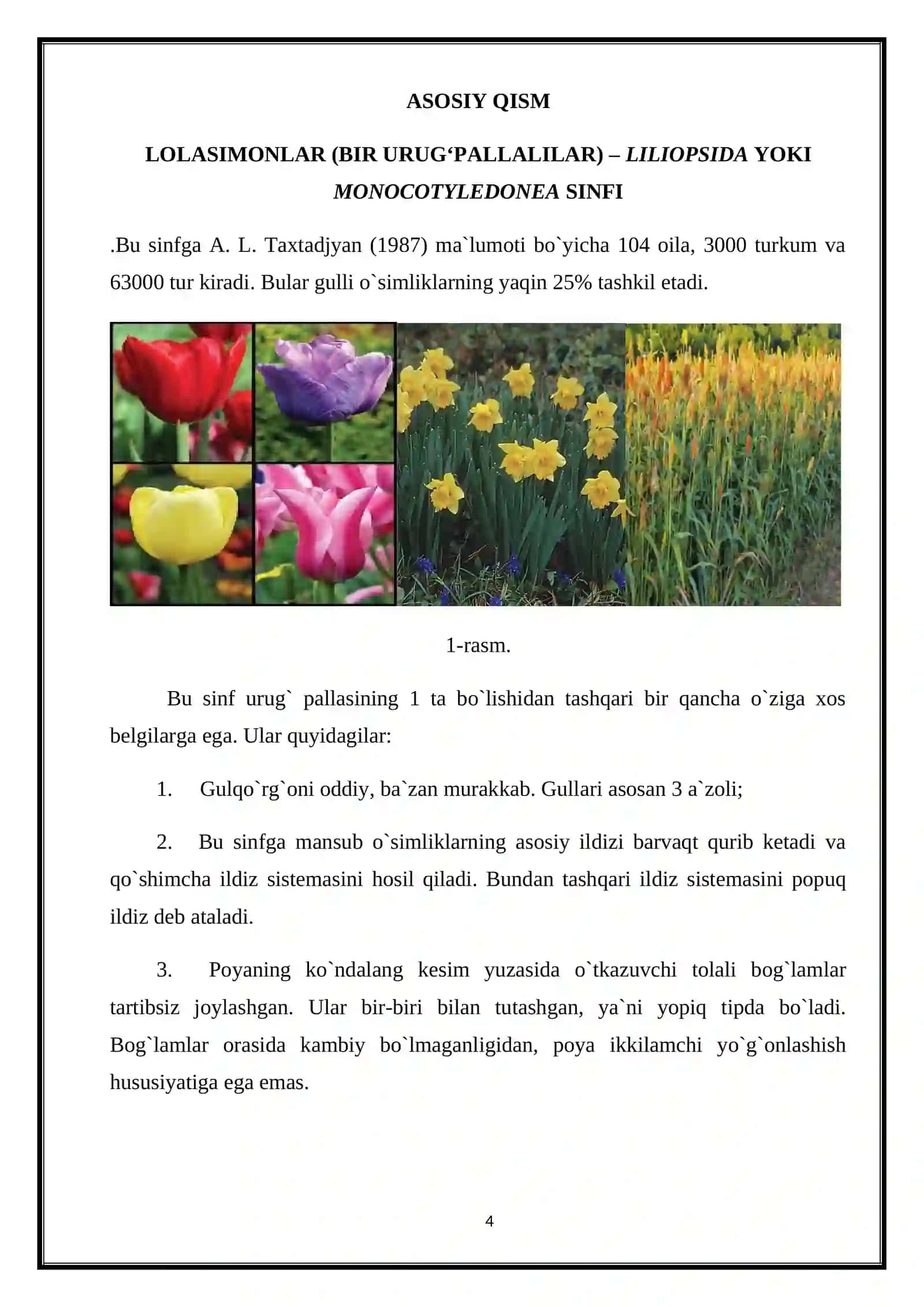 Bir urug’pallali o’simliklar sinfi. Asosiy vakillari va ahamiyati 4