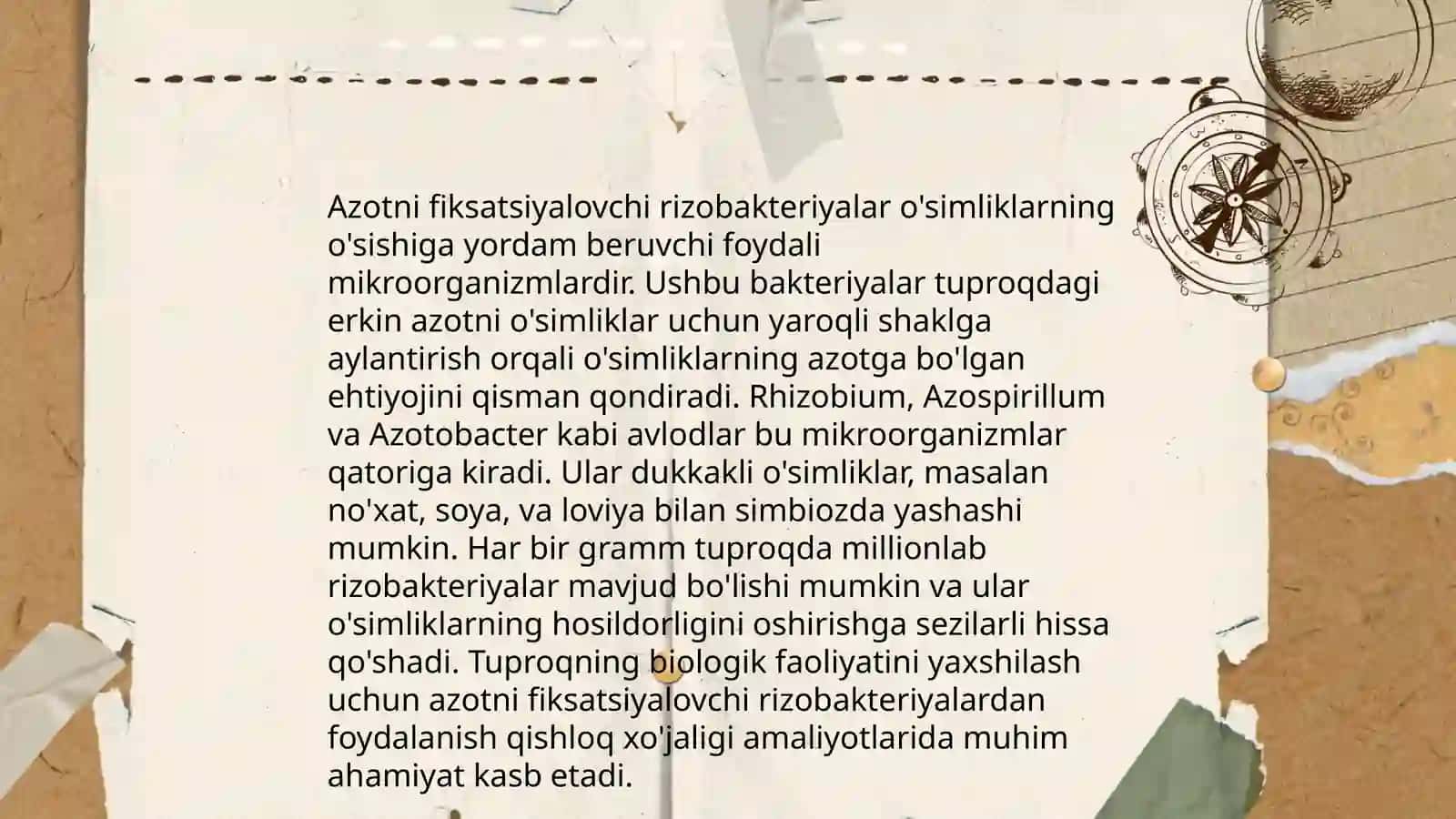 Rizobakteriyalar va ulardan dukkaklilar inokulyatsiyasi 4