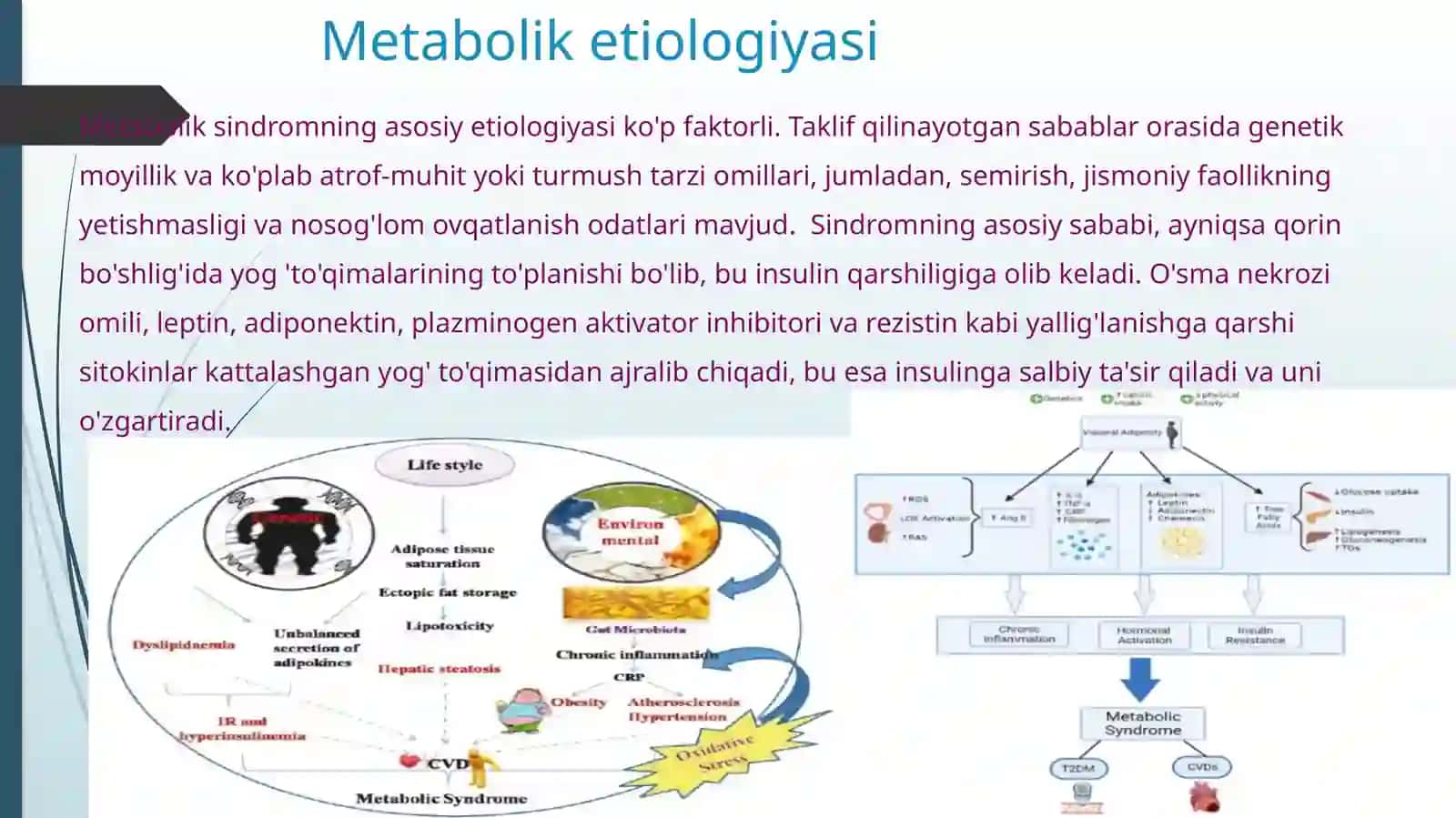 Metabolik sindrom kelib chiqishining biokimyoviy asoslari va asoratlari. 4