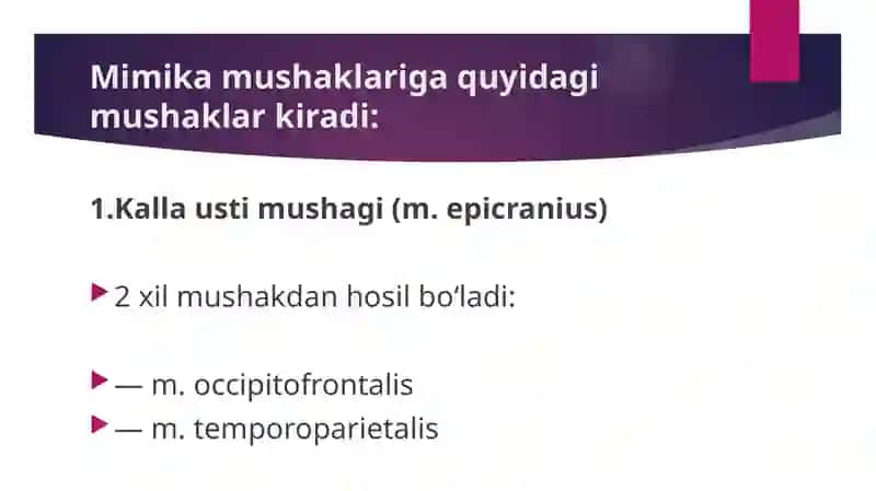 Bosh mushaklarining tuzulishini o’rganish 4