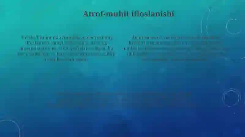 Toʼrtkoʼl tumani geoekologik vaziyatlarni baholash 4