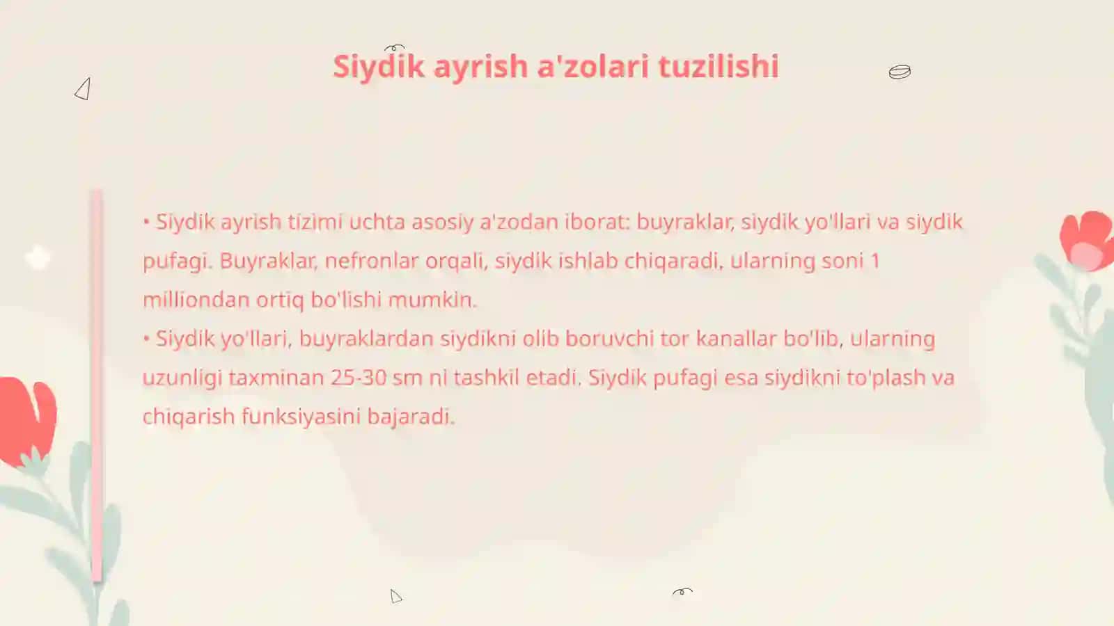 Siydik ayrish a'zolarining rivojlanish bosqichlari 4