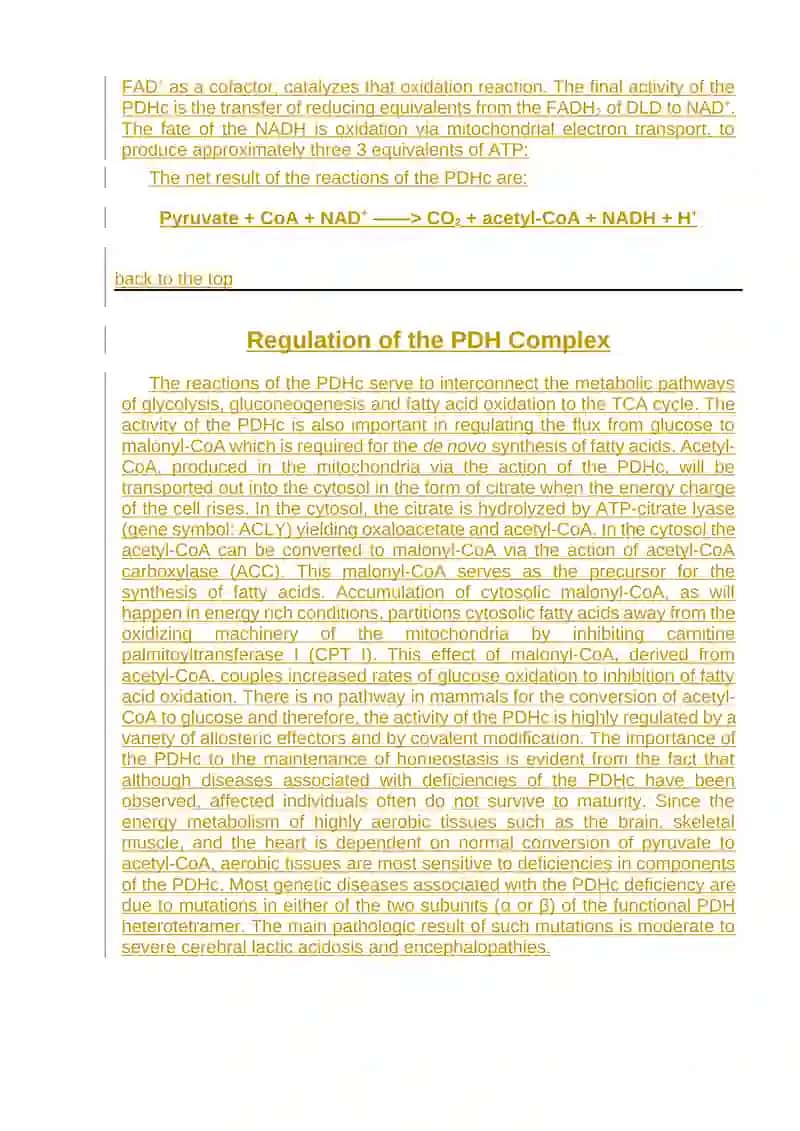 Introduction to Pyruvate Metabolism and the TCA Cycle 4