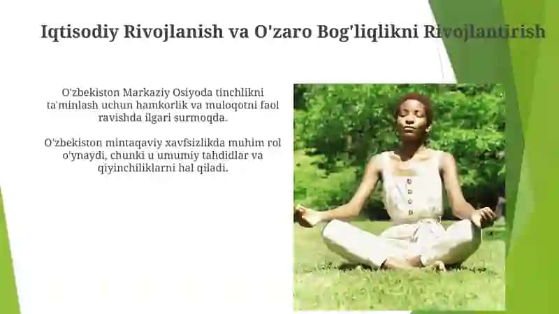 Oʻzbekistonning Markaziy Osiyoda tinchlik va barqarorlikning ta'minlashdagi oʻrni 4