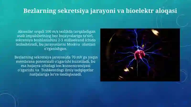 Bezlar faoliyatining elektrofiziologik mexanizmlari 4