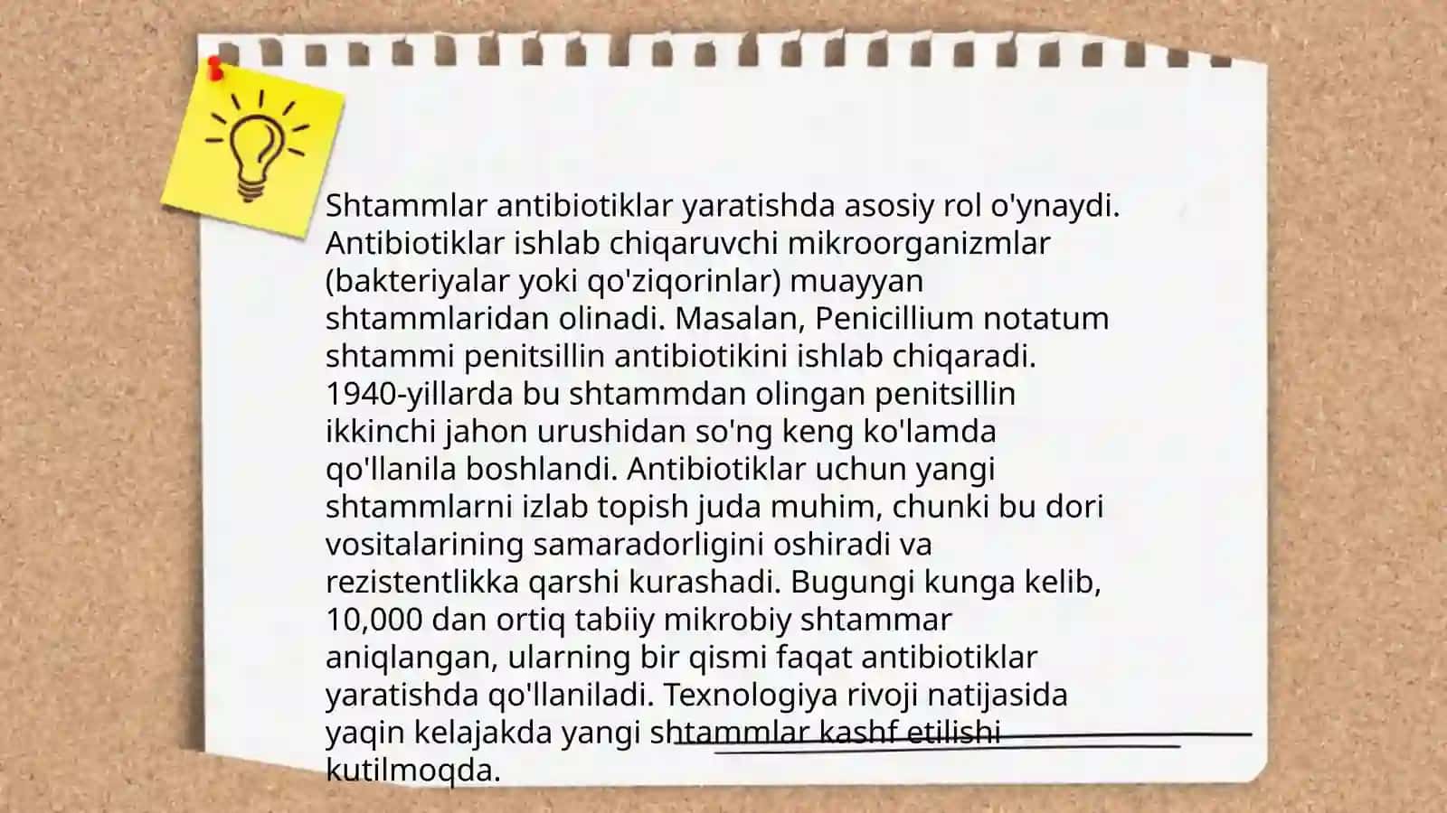 Shtamlarning vitaminlar vaantibiotiklar olishdagi ro‘li 4